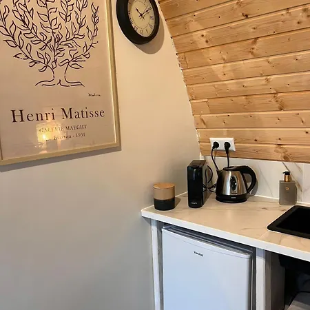 Chalet Luxurious Tiny House With Hottub Rijsenhout