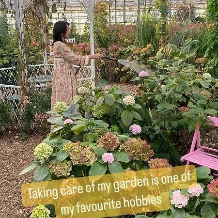 Luxurious Tiny House With Hottub