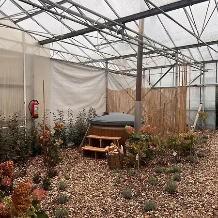 Luxurious Tiny House With Hottub *