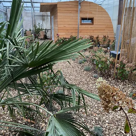 Dağ evi Luxurious Tiny House With Hottub *