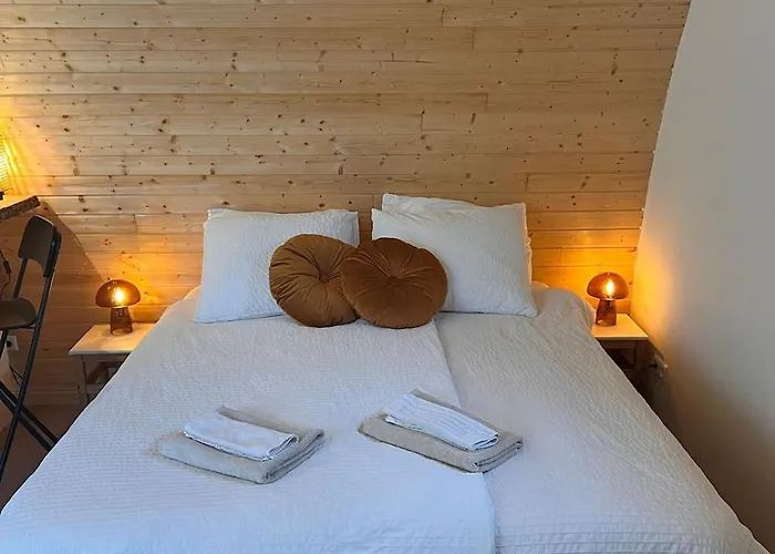 Luxurious Tiny House With Hottub Rijsenhout